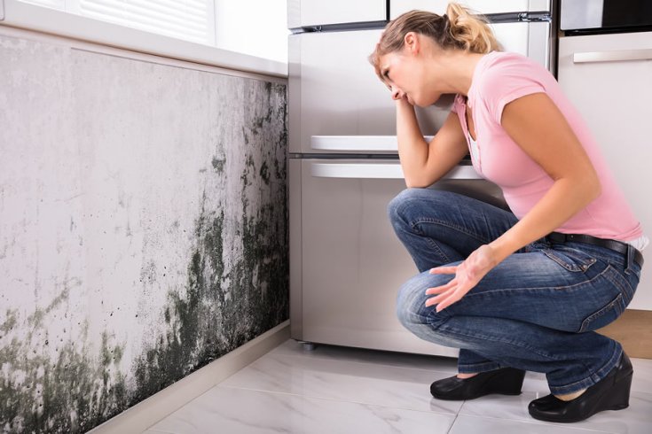 Household Mold and How to Prevent It