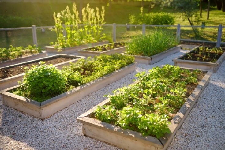 Sustainable Gardening and Landscaping Tips