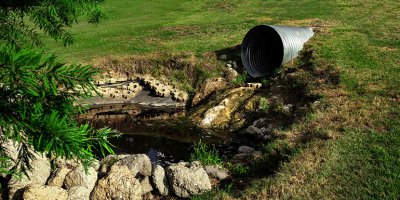 Health Issues Associated with Sewage Exposure