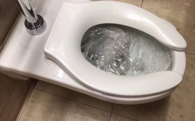 What to Do When a Toilet Overflows